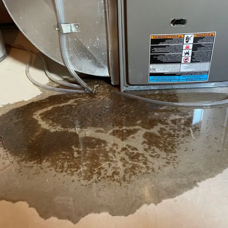 Pipe Burst and Leak Restoration in Milbridge, ME